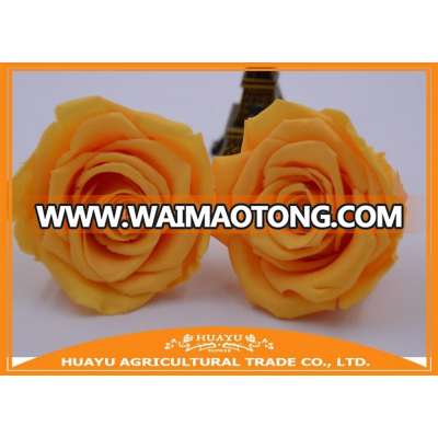 wholesale preserved roses flower on alibaba com