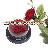 OEM Perfect Valentines Day Gifts Multiple Colours Preserved Everlasting Real Rose Flower pots