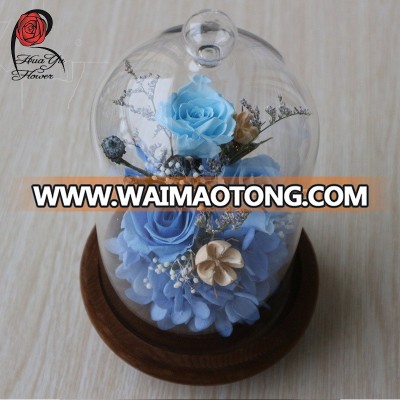 Best selling China Supply Flowers Artificial Real Touch Rose on Wholesale Preserved Rose in glass dome