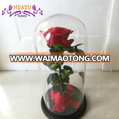 beauty and the beast longlife flower eternal rose in glass dome