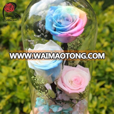 Beauty And The Best Preserved Stabilized Roses In Dome Glass