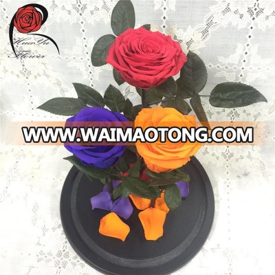 Artificial lovely rose long life stabilized preserved fresh flowers rose in glass dome