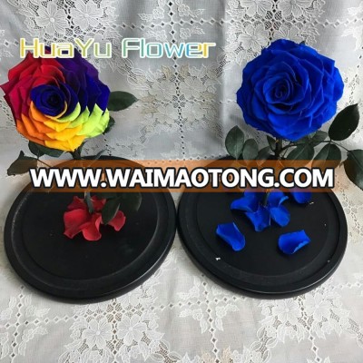 Fadeless Preserved flower Preserved rose flowers for wedding table stabilized Rose