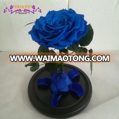 real eternal rose in glass dome preserved flower decoration