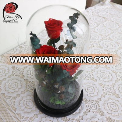 Wholesale beauty and the beast preserved rose in glass dome