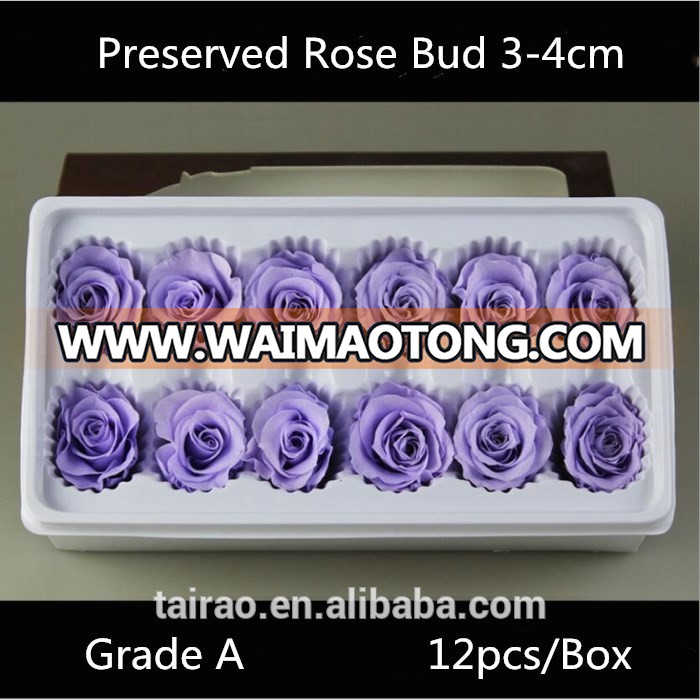 Premium grade A large bud preserved rose eternal lasting rose 3-4cm