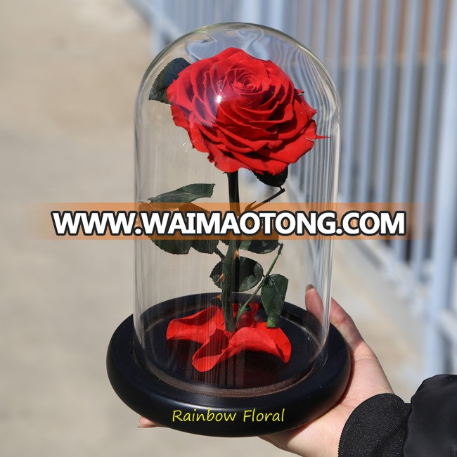 Eternal Love Preserved Rose in Glass Dome Best Gift for Valentine's Day