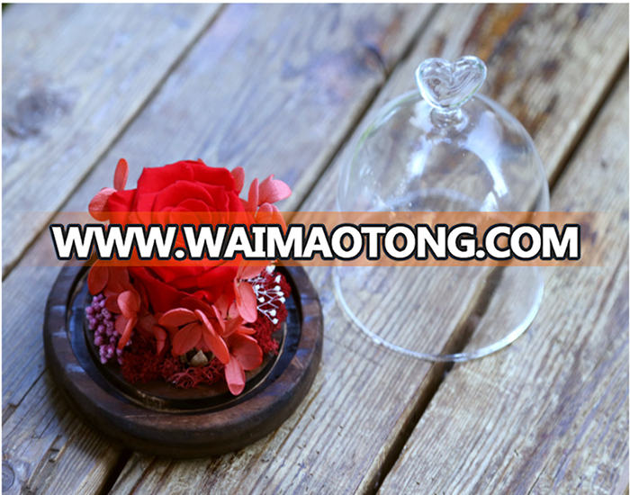 2017 new type real touch preserved rose flower rose long life rose in glass