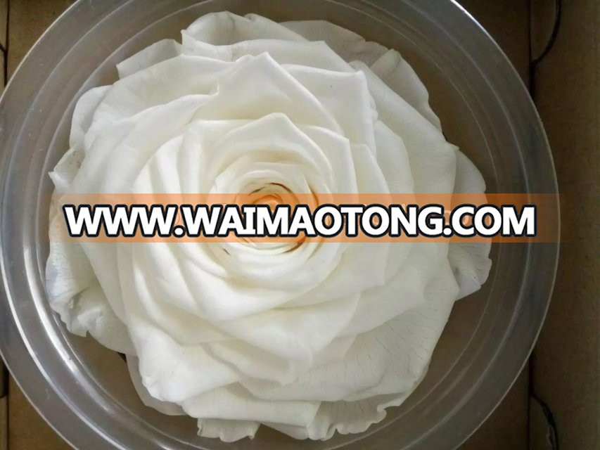 Wholesale Processing preserved Flower Part with Multi color Decoration for Wedding Occasion