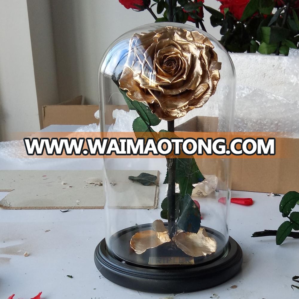 Long Lasting Golden Preserved Rose With Stem In Glass Dome